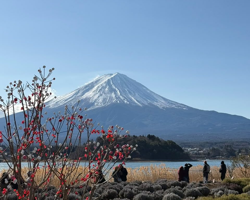 Mt Fuji & Lake Kawaguchiko Day Trip
